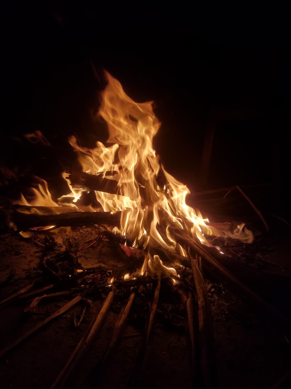 A Crackling Campfire